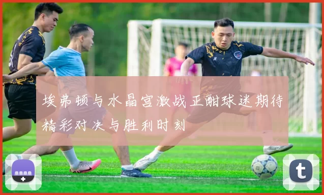 埃弗顿与水晶宫激战正酣球迷期待精彩对决与胜利时刻